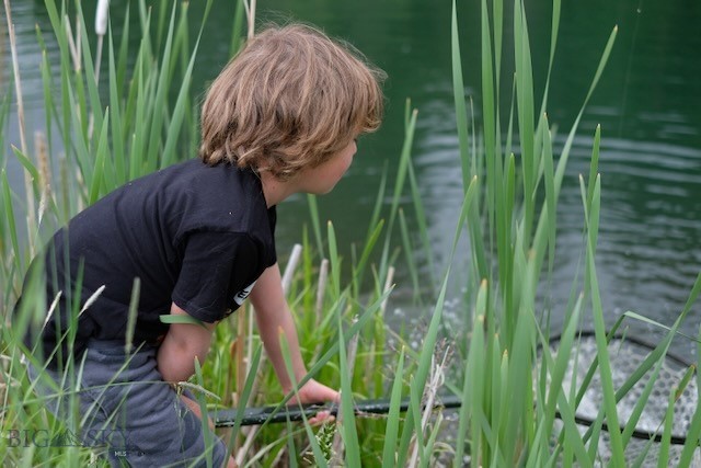 Eagle Rock Reserve - Residential