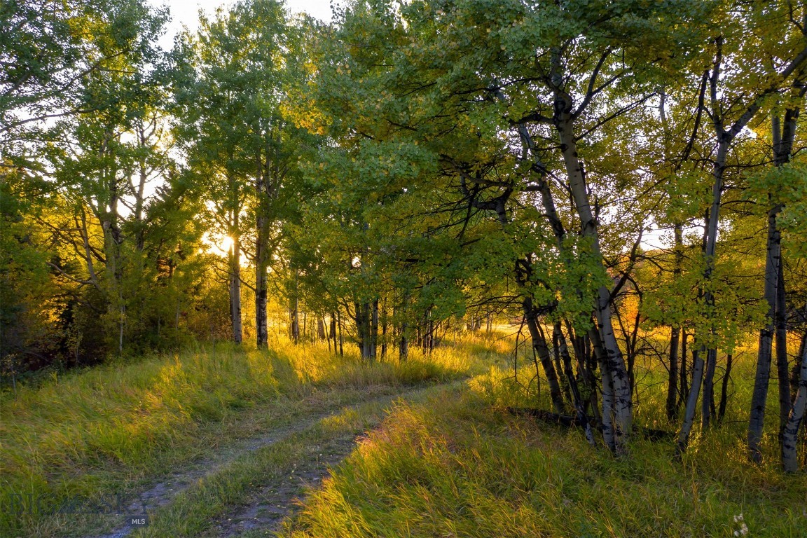 Eagle Rock Reserve - Residential
