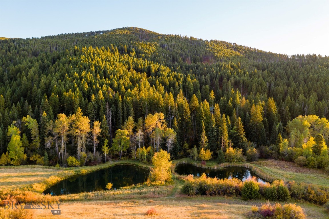 Eagle Rock Reserve - Residential