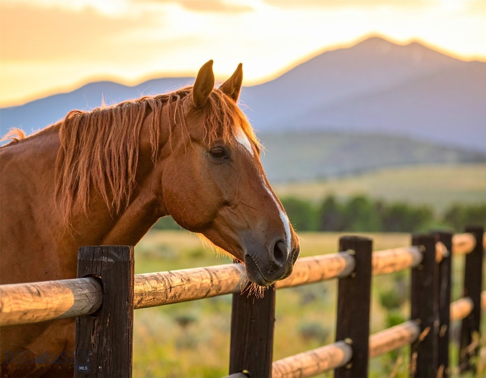 Eagle Rock Reserve - Residential