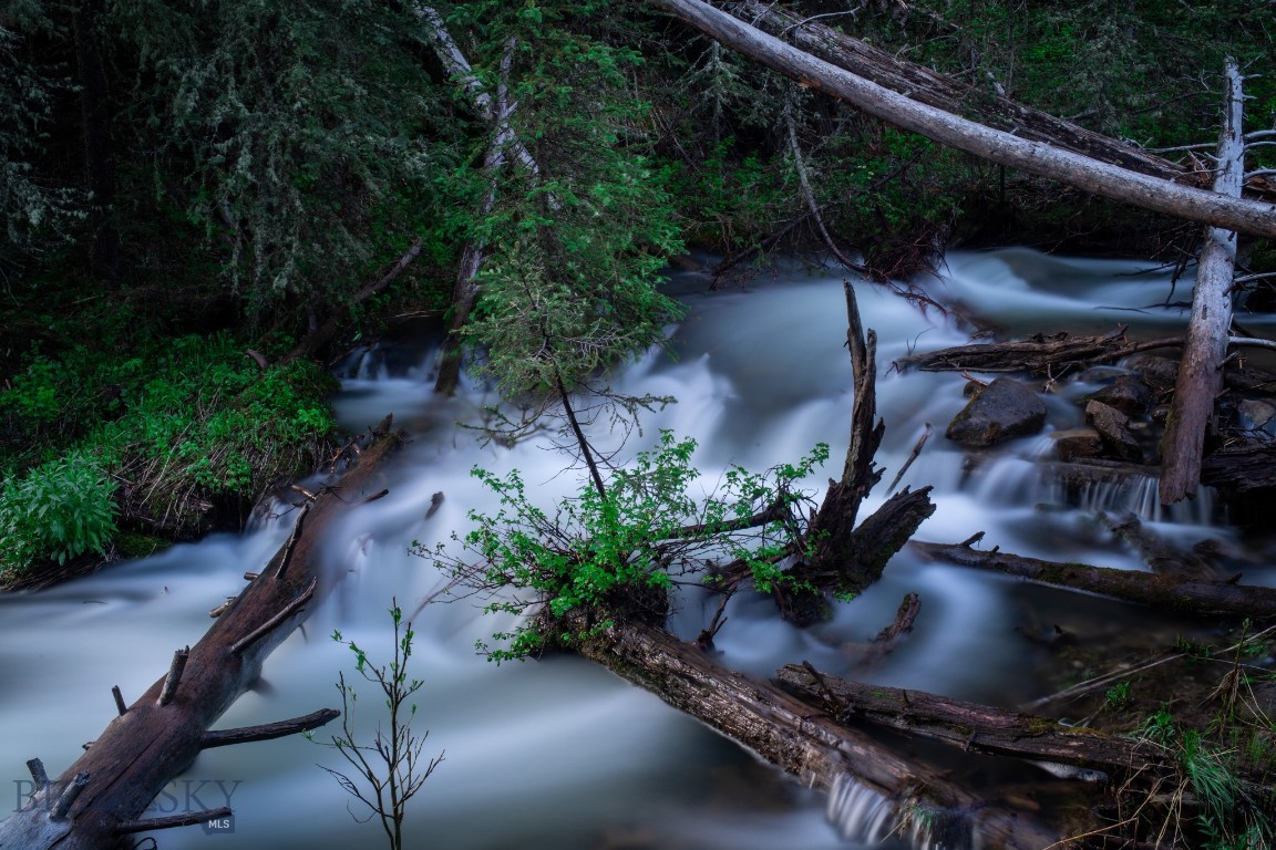 Bear Paw Ponds - Land