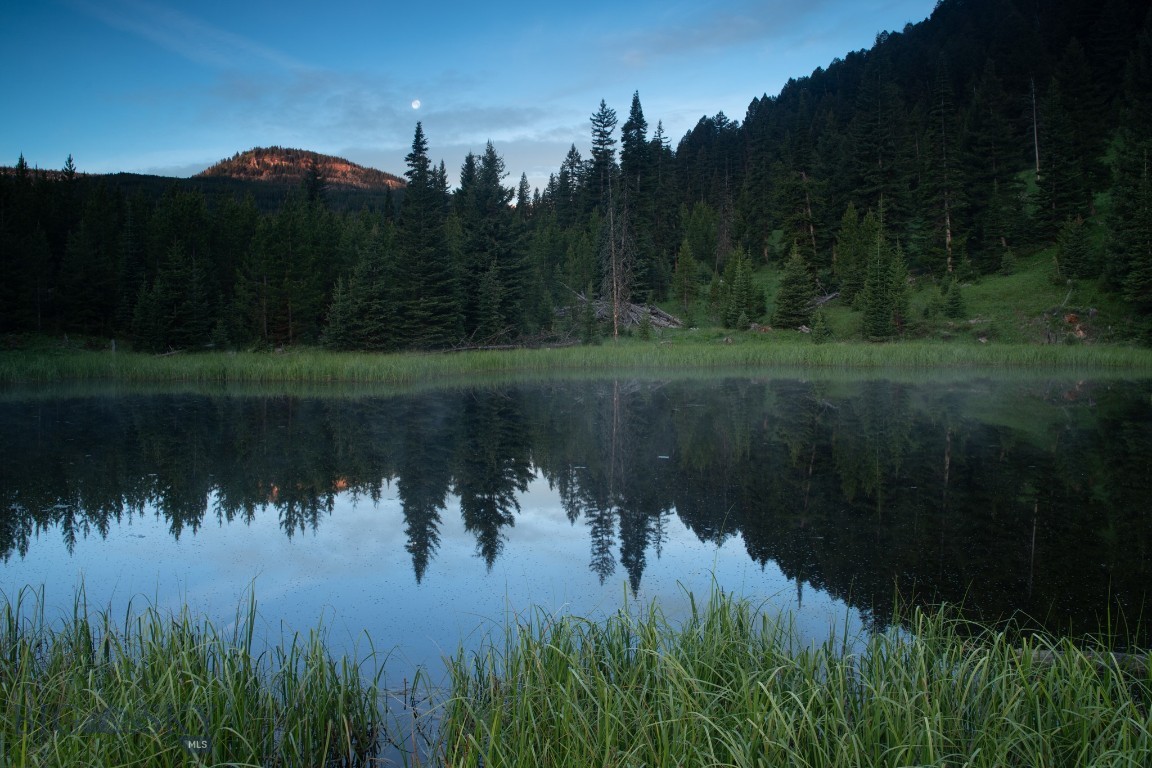 Bear Paw Ponds - Land