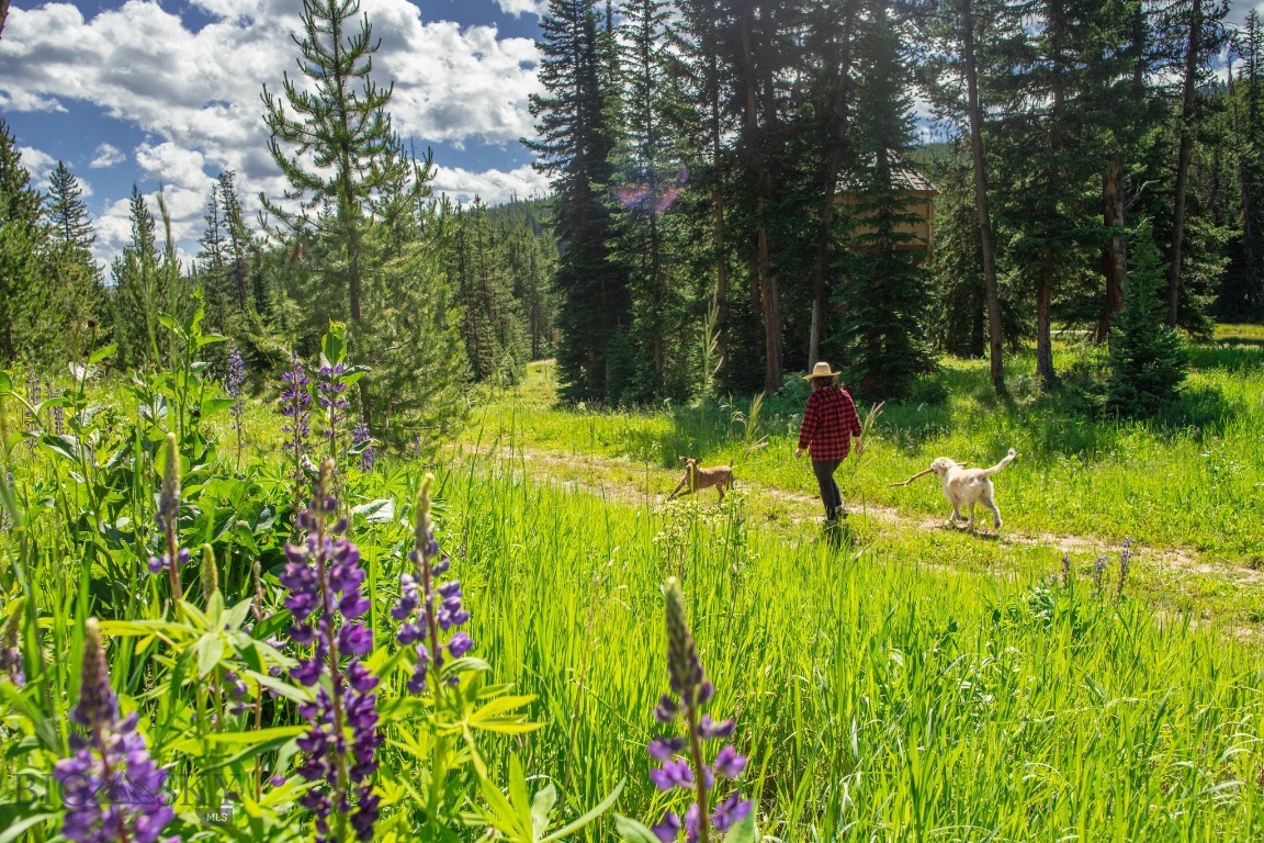Bear Paw Ponds - Land