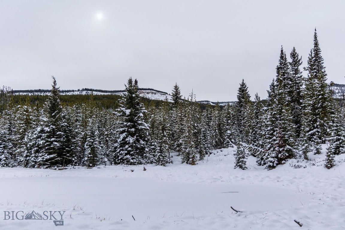 Bear Paw Ponds - Land