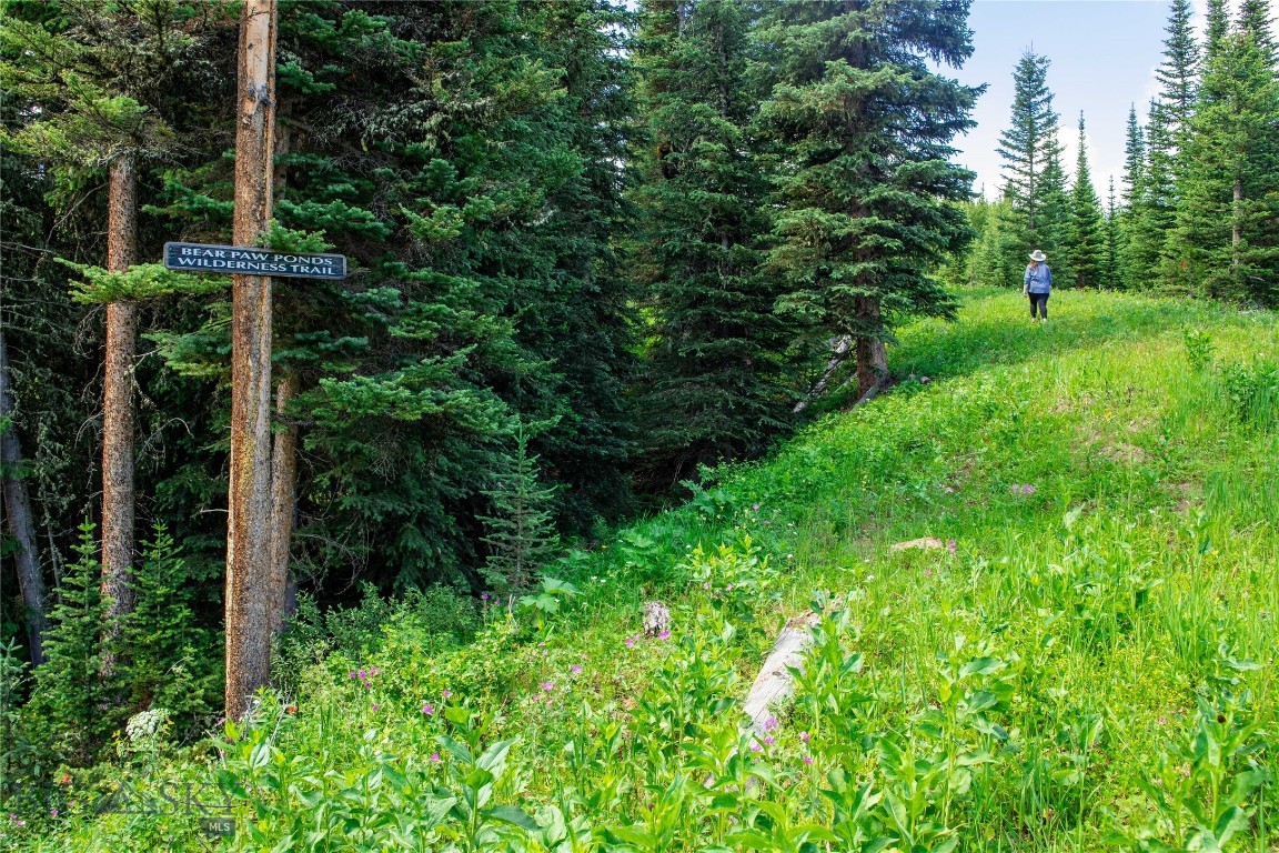 Bear Paw Ponds - Land