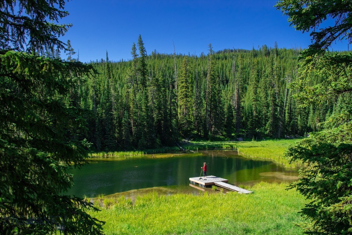 Bear Paw Ponds - Land