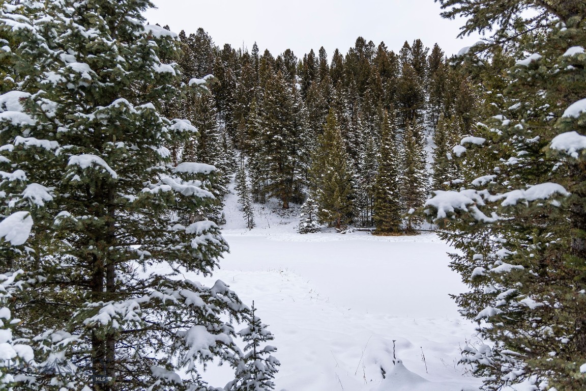 Bear Paw Ponds - Land