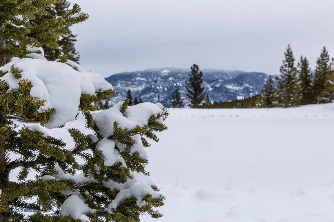 Bear Paw Ponds - Land