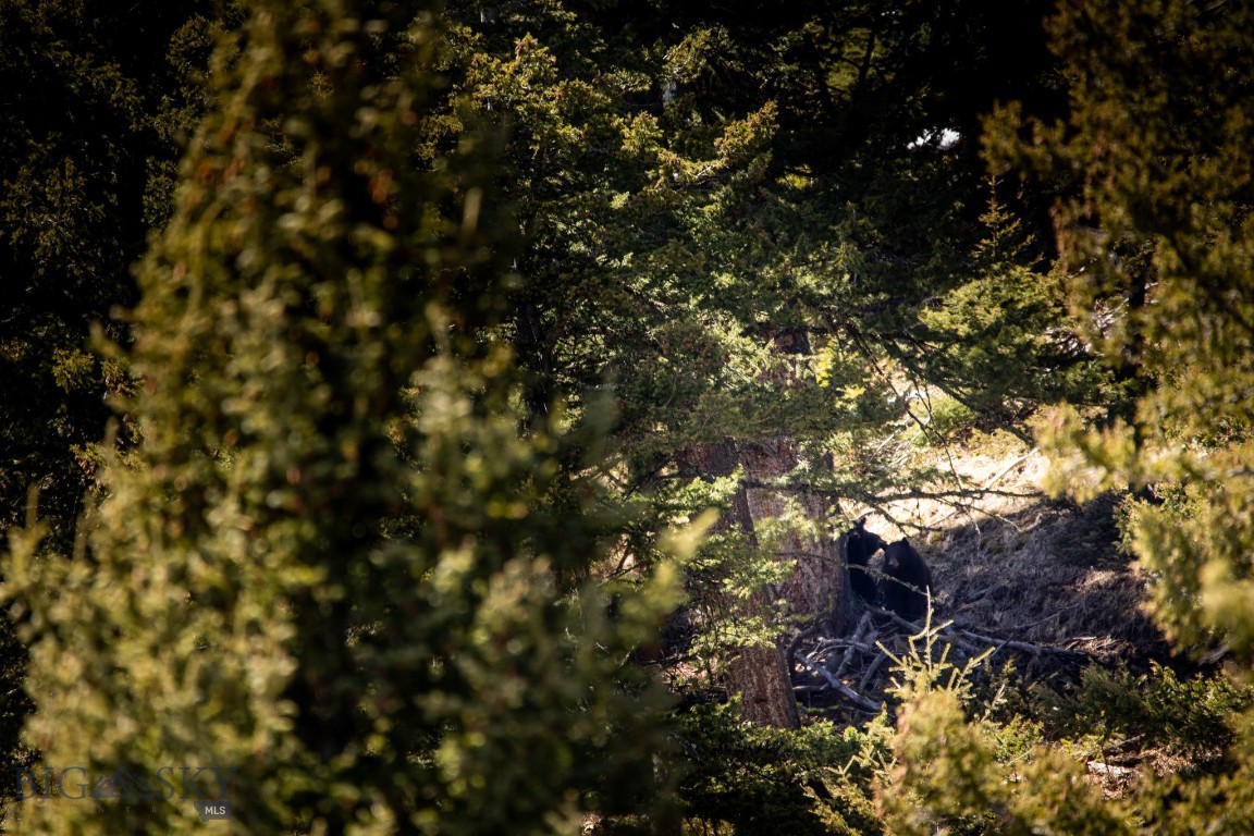 Bear Paw Ponds - Land