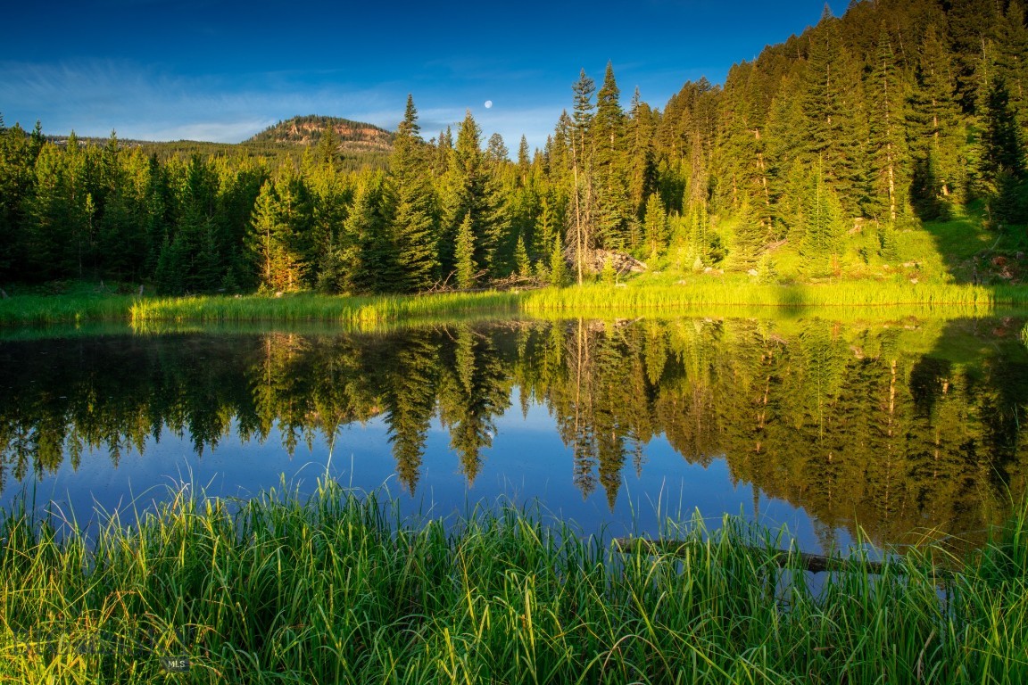 Bear Paw Ponds - Land