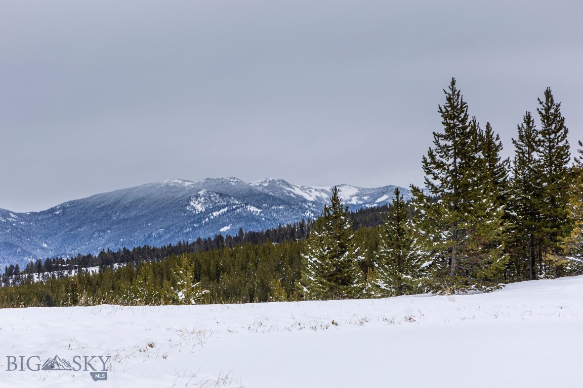 Bear Paw Ponds - Land
