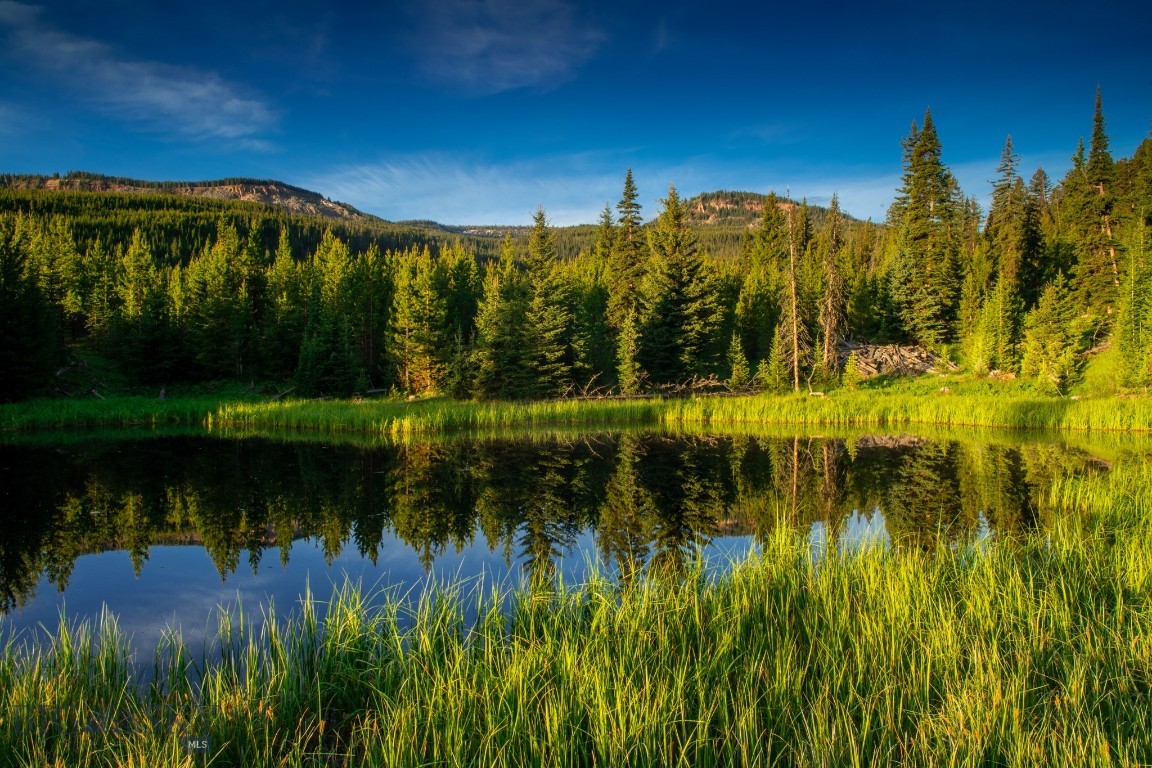 Bear Paw Ponds - Land