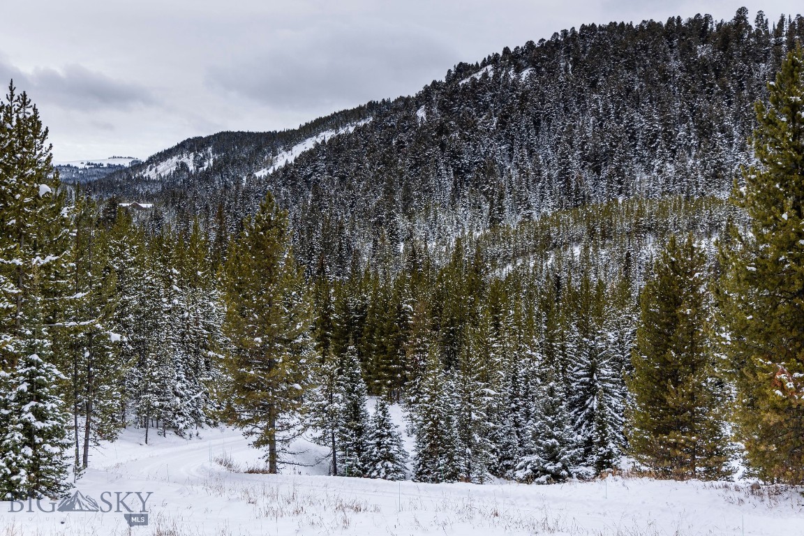 Bear Paw Ponds - Land