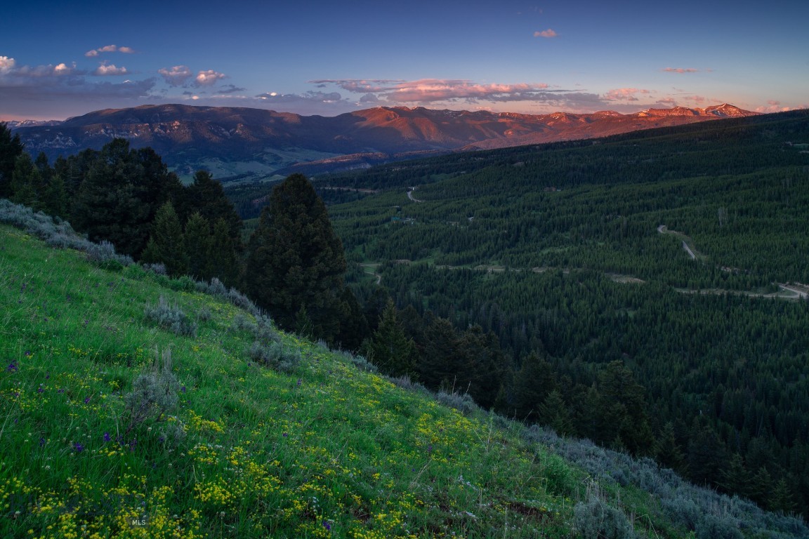 Bear Paw Ponds - Land
