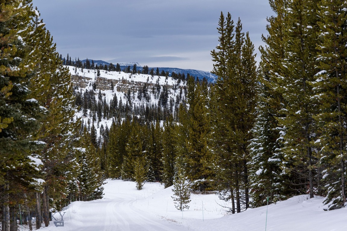 Bear Paw Ponds - Land