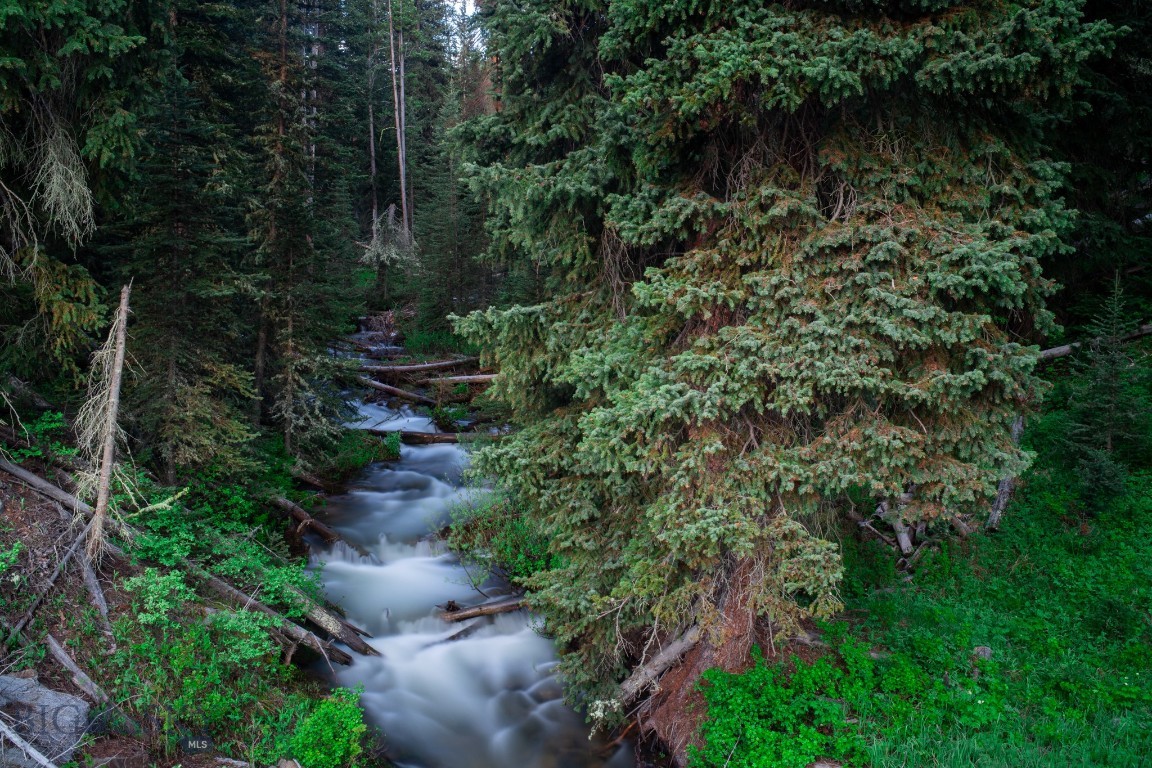 Bear Paw Ponds - Land