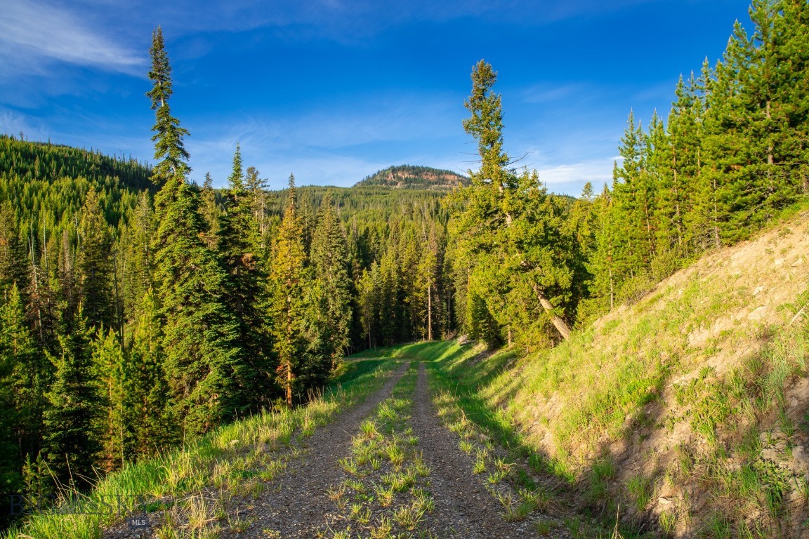 Bear Paw Ponds - Land