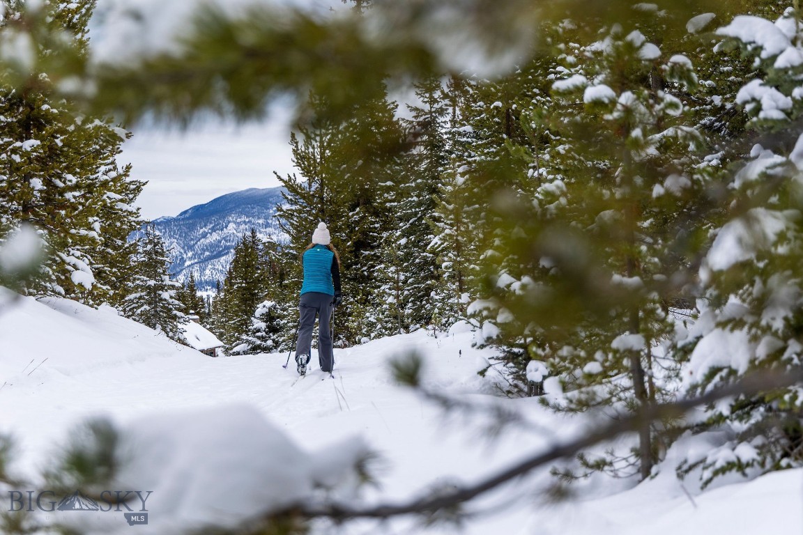 Bear Paw Ponds - Land