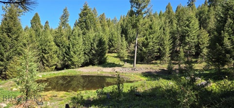 Photo of 4 Tract, Bull Elk, Drummond, MT 59832 (MLS # 413345)