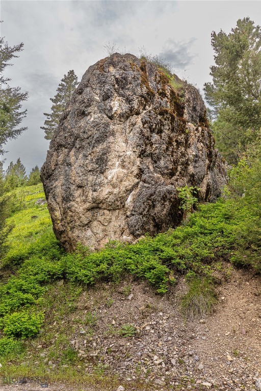 4 Tract, Bull Elk