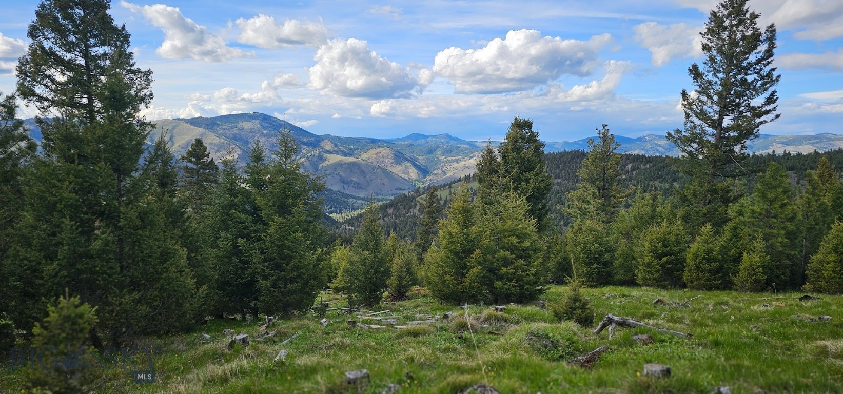 4 Tract, Bull Elk