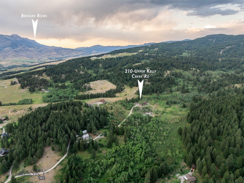 Certificate Of Survey COS - Residential