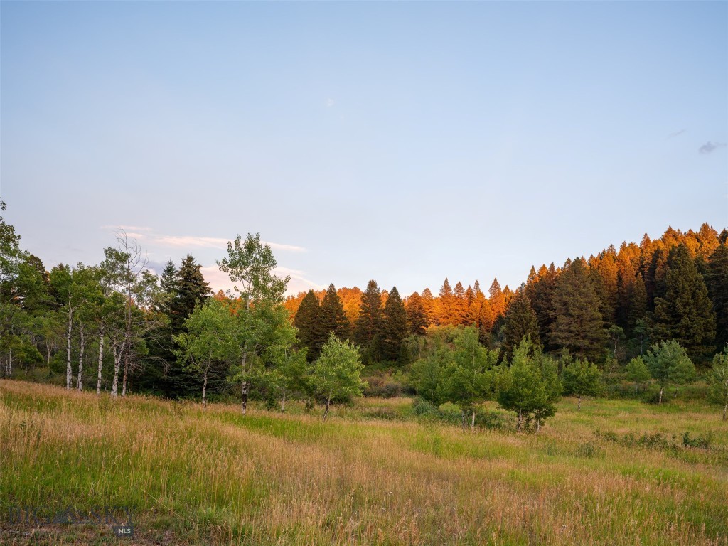 Certificate Of Survey COS - Residential