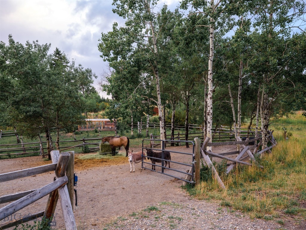 Certificate Of Survey COS - Residential