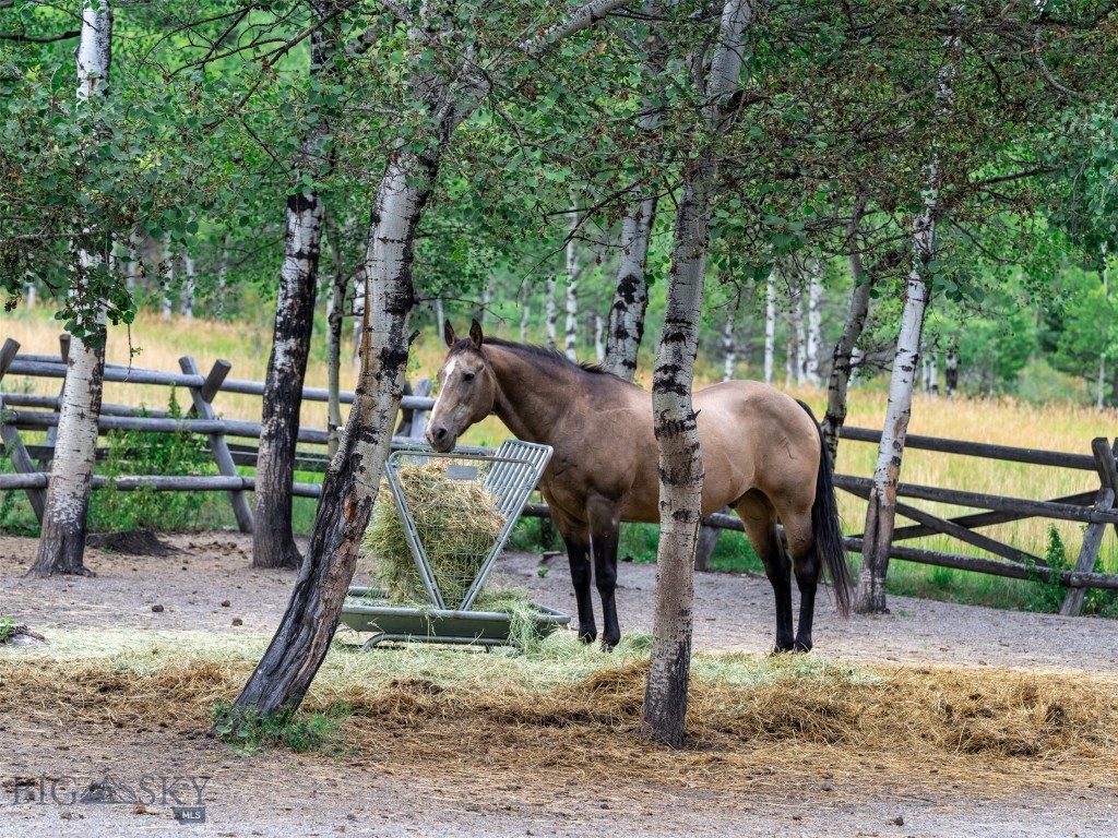 Certificate Of Survey COS - Residential