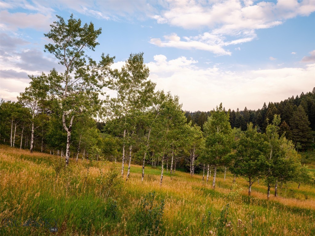 Certificate Of Survey COS - Residential