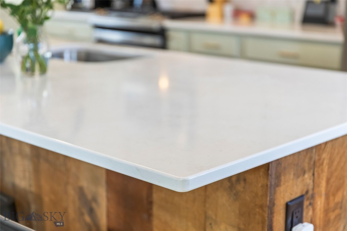 Livingston Original Plat - Residential Income