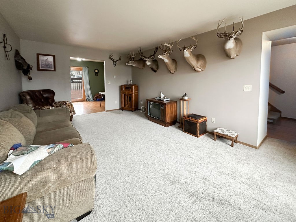 45 Chestnut Grove Avenue