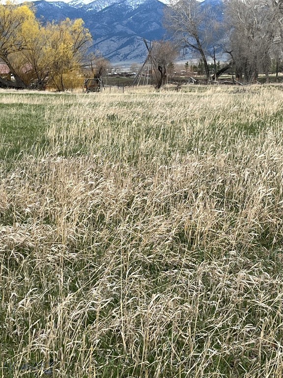 Certificate Of Survey COS - Land