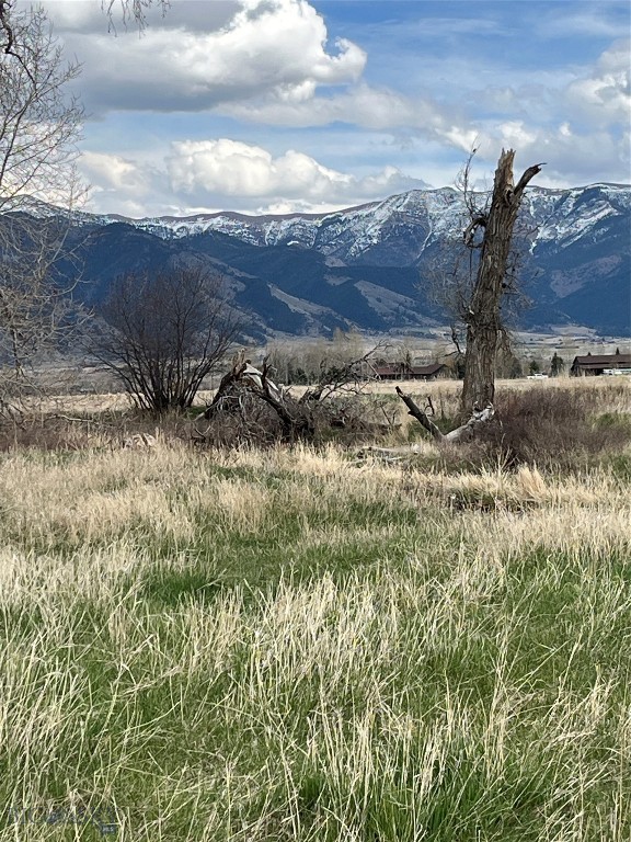 Certificate Of Survey COS - Land