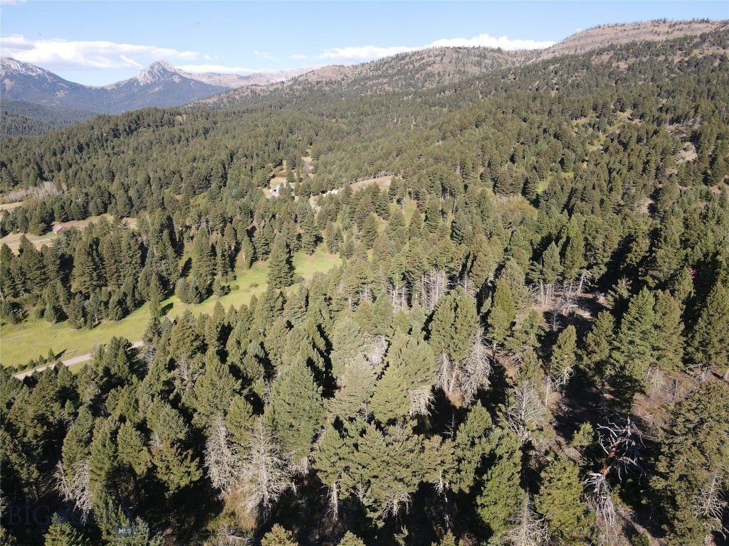 TBD Pony Creek