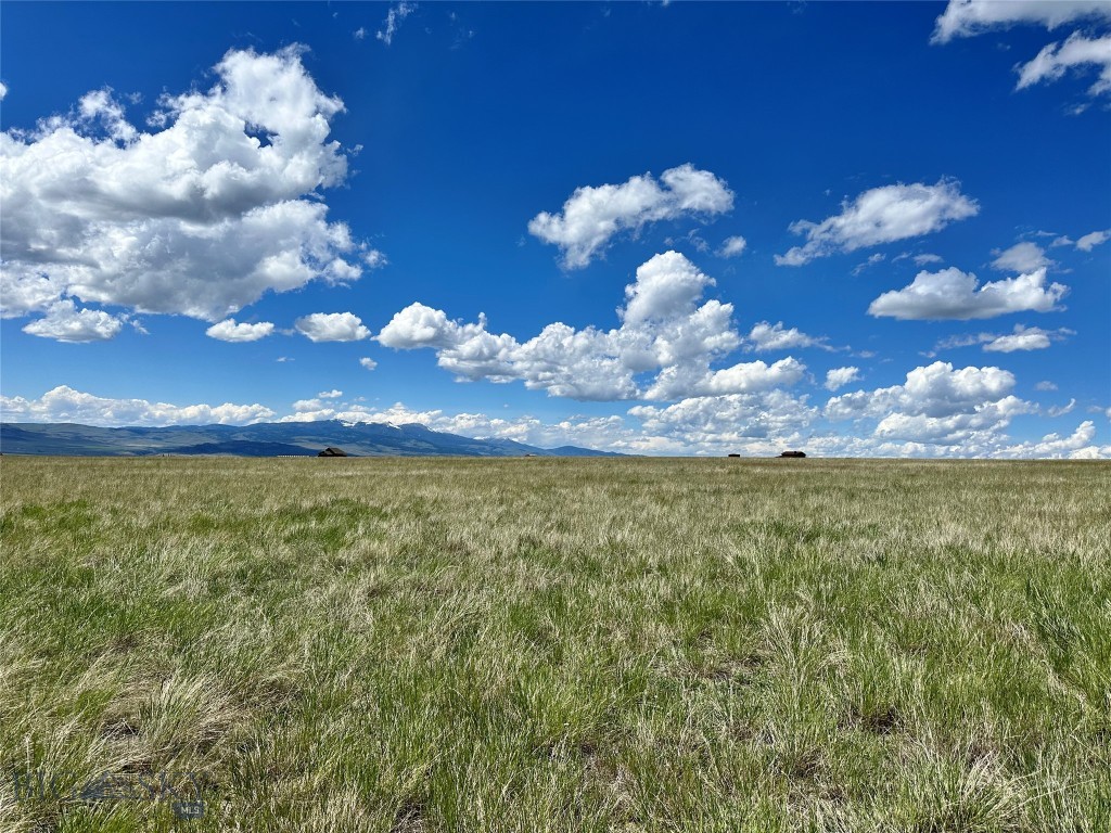 Mustang Ranches - Land