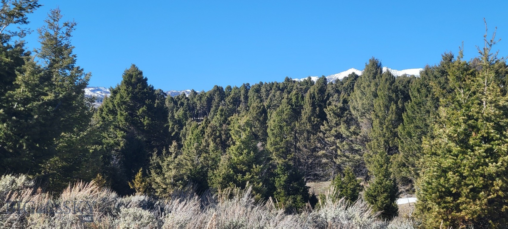 Other - Land