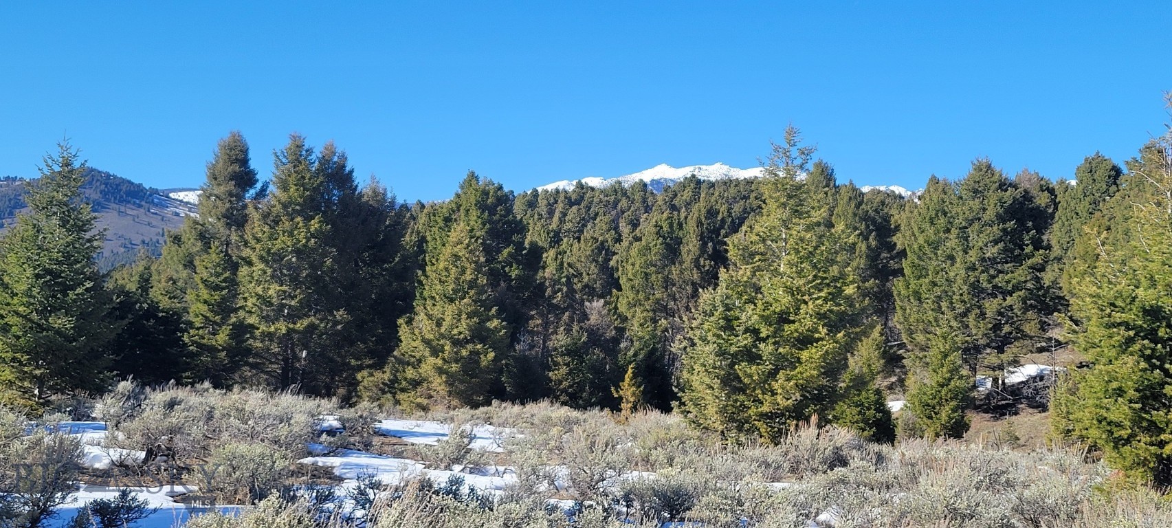 Other - Land