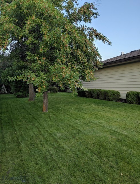 Butte, Montana 59701, United States, 4 Bedrooms Bedrooms, ,2 BathroomsBathrooms,Residential,Contingent,29898