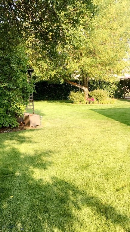 Butte, Montana 59701, United States, 4 Bedrooms Bedrooms, ,2 BathroomsBathrooms,Residential,Contingent,29898