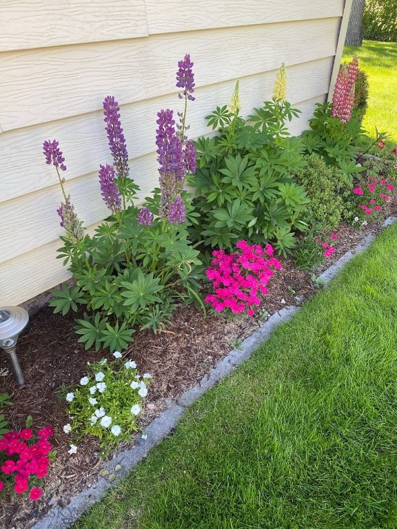 Butte, Montana 59701, United States, 4 Bedrooms Bedrooms, ,2 BathroomsBathrooms,Residential,Contingent,29898