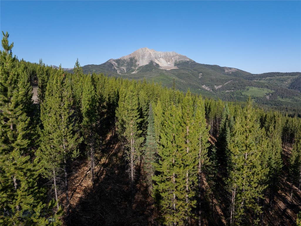 TBD Sawtooth Road Lot 11