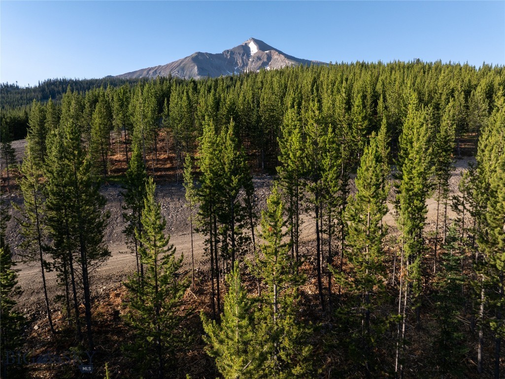 TBD Sawtooth Road Lot 11