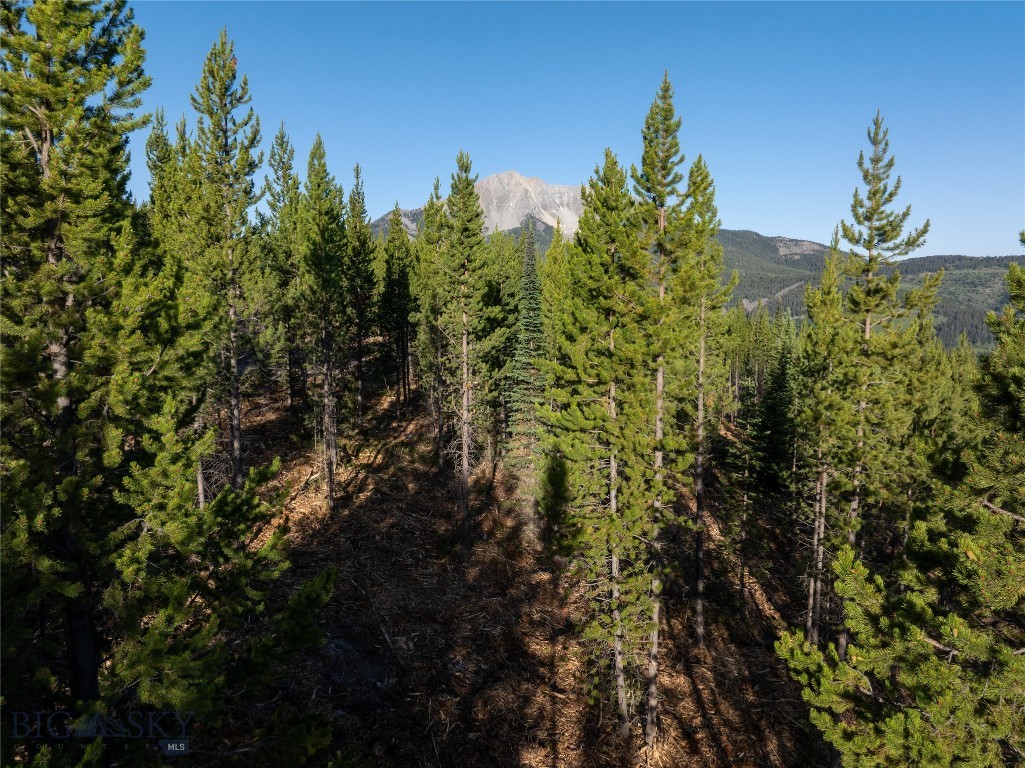 TBD Sawtooth Road Lot 11