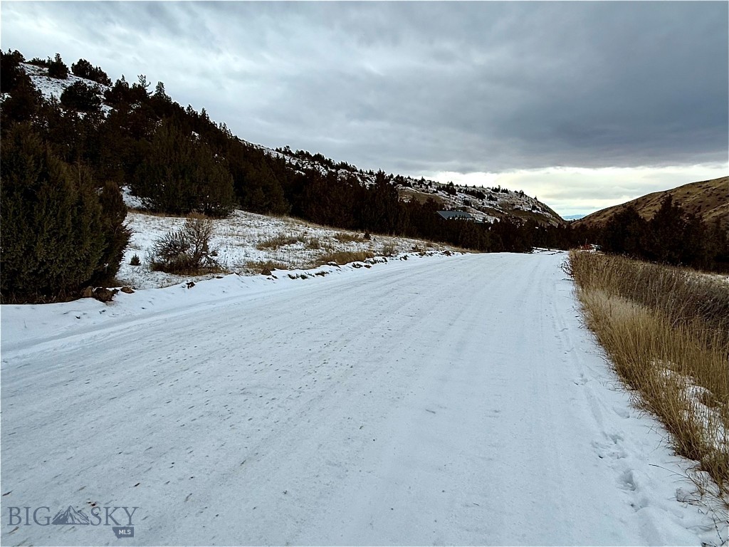 Ponderosa Pines - Residential
