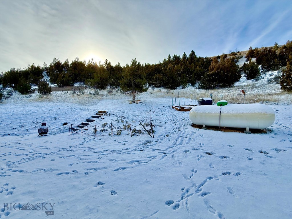 Ponderosa Pines - Residential