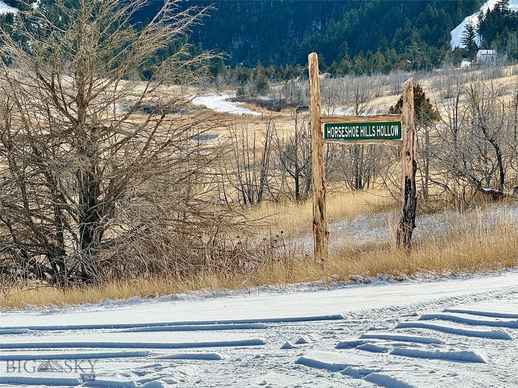 Ponderosa Pines - Residential