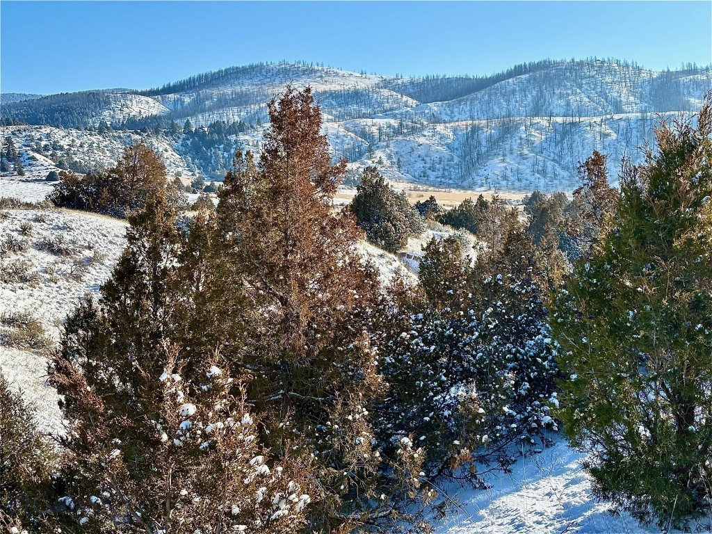Ponderosa Pines - Residential