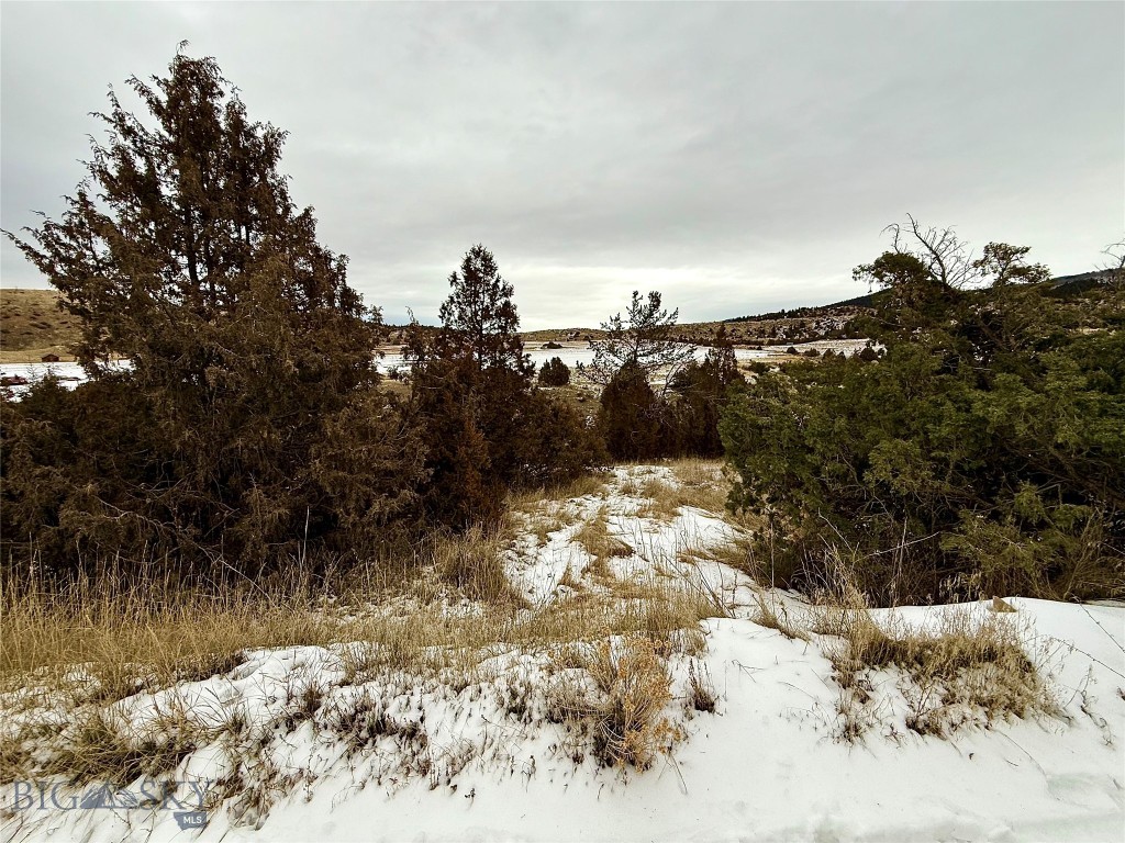 Ponderosa Pines - Residential