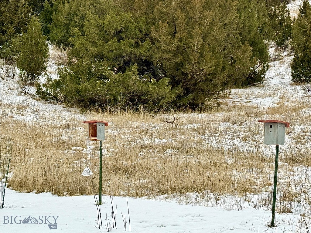 Ponderosa Pines - Residential